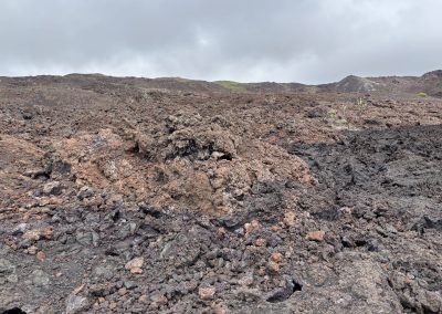 isla isabela galapagos pacific