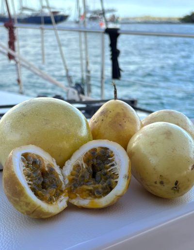 pashion fruit