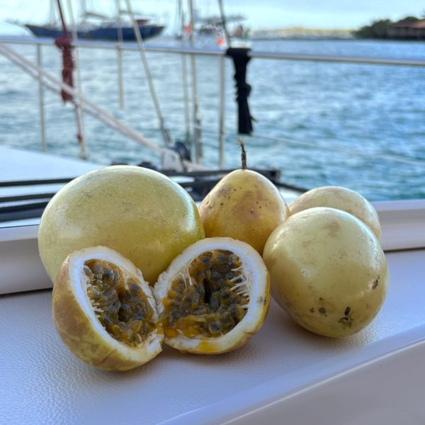 pashion fruit