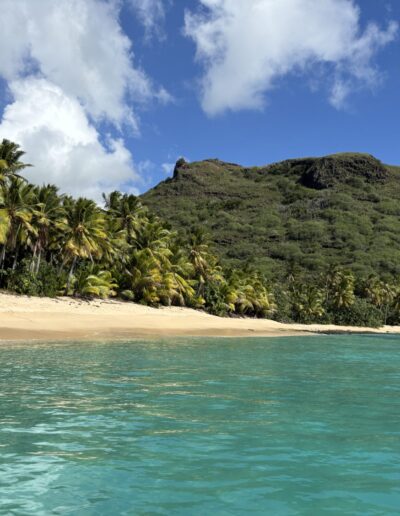 hanavave